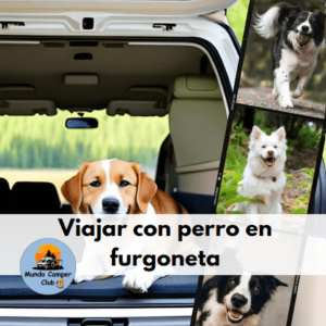 Viajar con perro en furgoneta